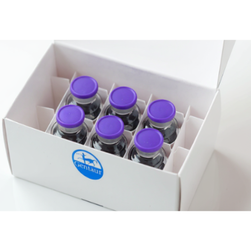 iNtRON LiliF COVID-19 Multi Real-Time RT-PCR Kit