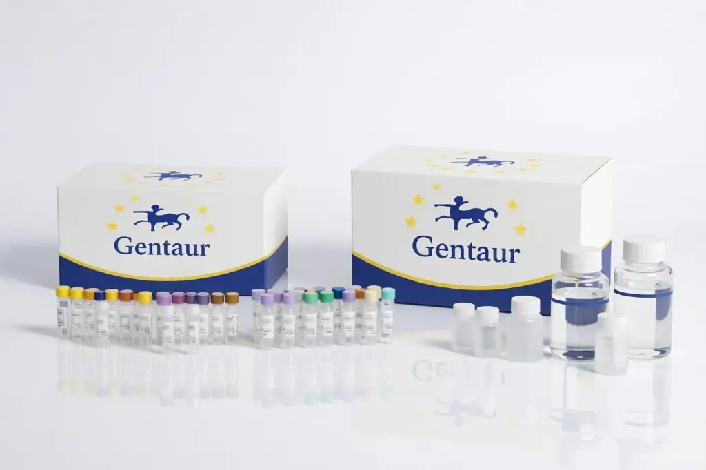[K1331280-sf] Ezway Human TIMP-1 ELISA Kit