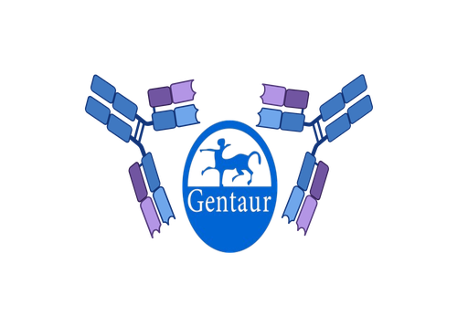 [GEN - GDX36-​1] Petscreen Feline Heartworm Ag (FHW)