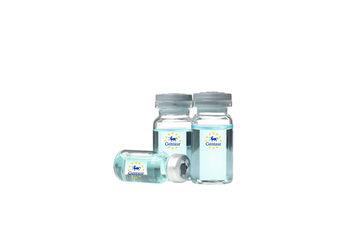 [GEN-PYT284-2ug] VEGF C Rat (152 a.a.)
