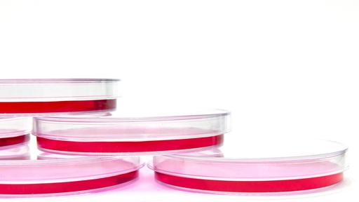 [M-GEN-EXO008] EXOGAG-CCM Exosome Purification Kit