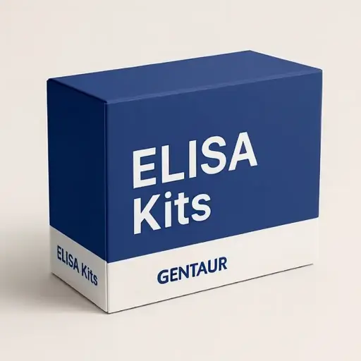 [elisa-sk1969] Human 5HTR5B(5-Hydroxytryptamine Receptor 5B) ELISA Kit - ELK8827