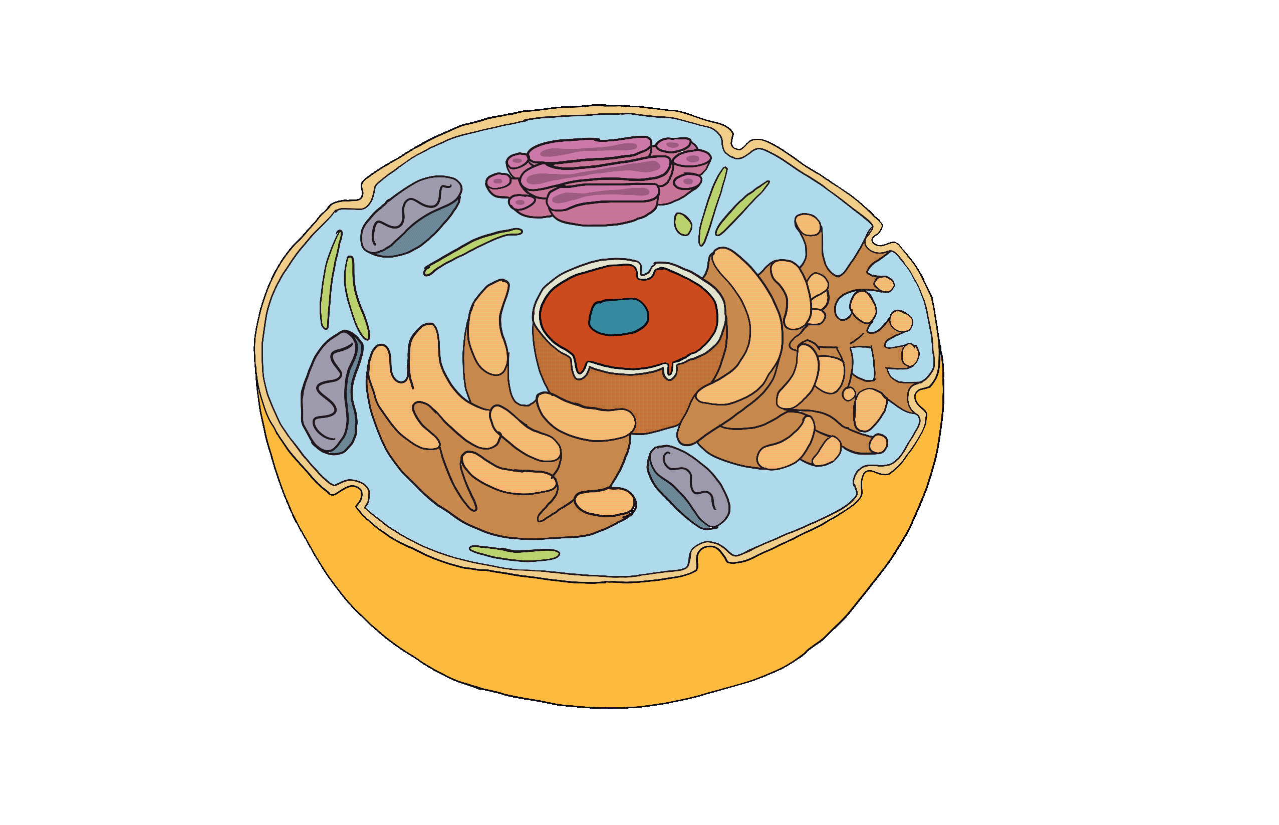 Introduction to Molecular Biology